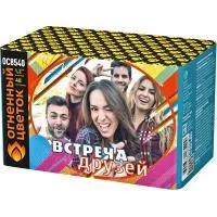 Салют Встреча друзей New ОС8541 купить от производителя Огненный Цветок — Новосибирск